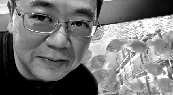 R Kwong - Founder and Principal, Kwong Digital